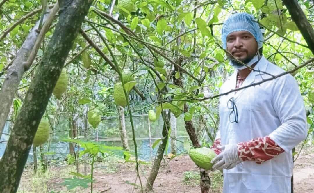 জৈন্তাপুরে জাড়া লেবু চাষে সাফল্যের গল্প বদলে যাচ্ছে কৃষকের জীবন