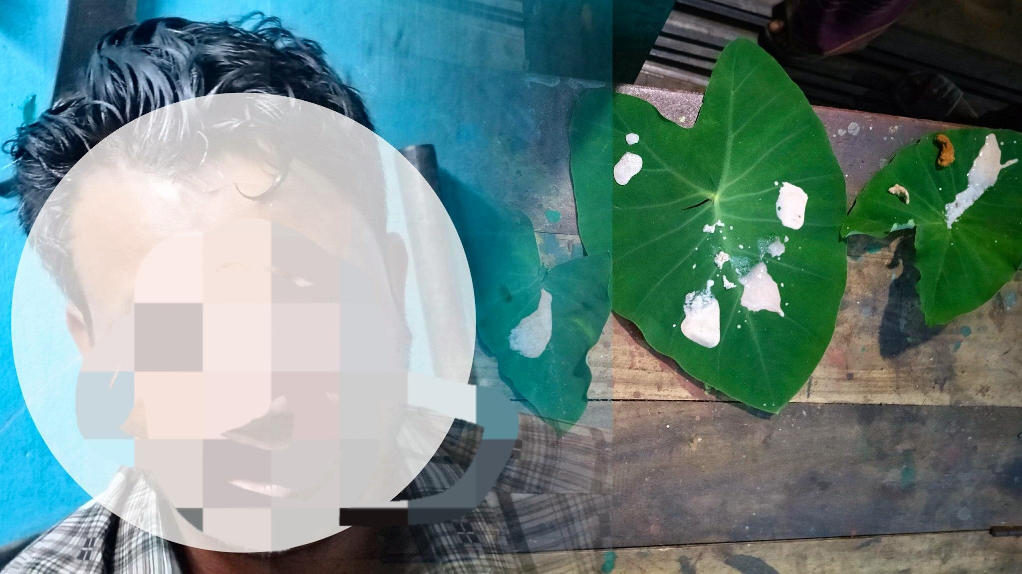 জৈন্তাপুরে মোবাইল চুর সন্দেহ টমটম চালককে মারপিট