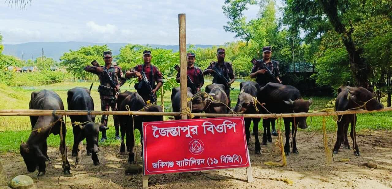 জৈন্তাপুরে ভারতীয় গরু-মহিষসহ অবৈধ মালামাল জব্দ