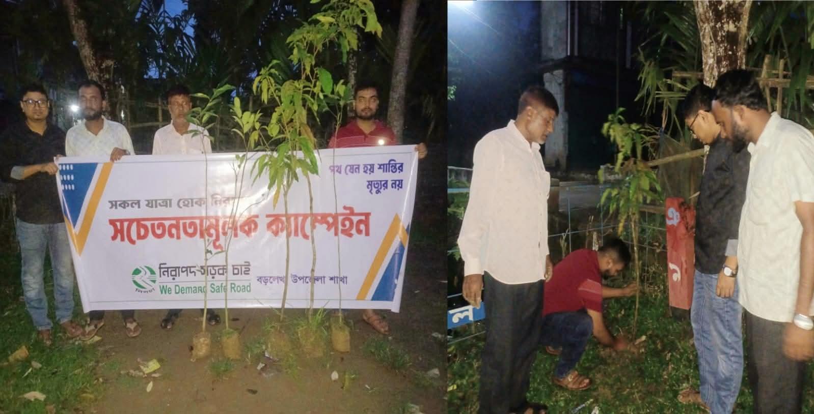 বড়লেখায় নিসচার উদ্যোগে বৃক্ষরোপণ কর্মসূচি