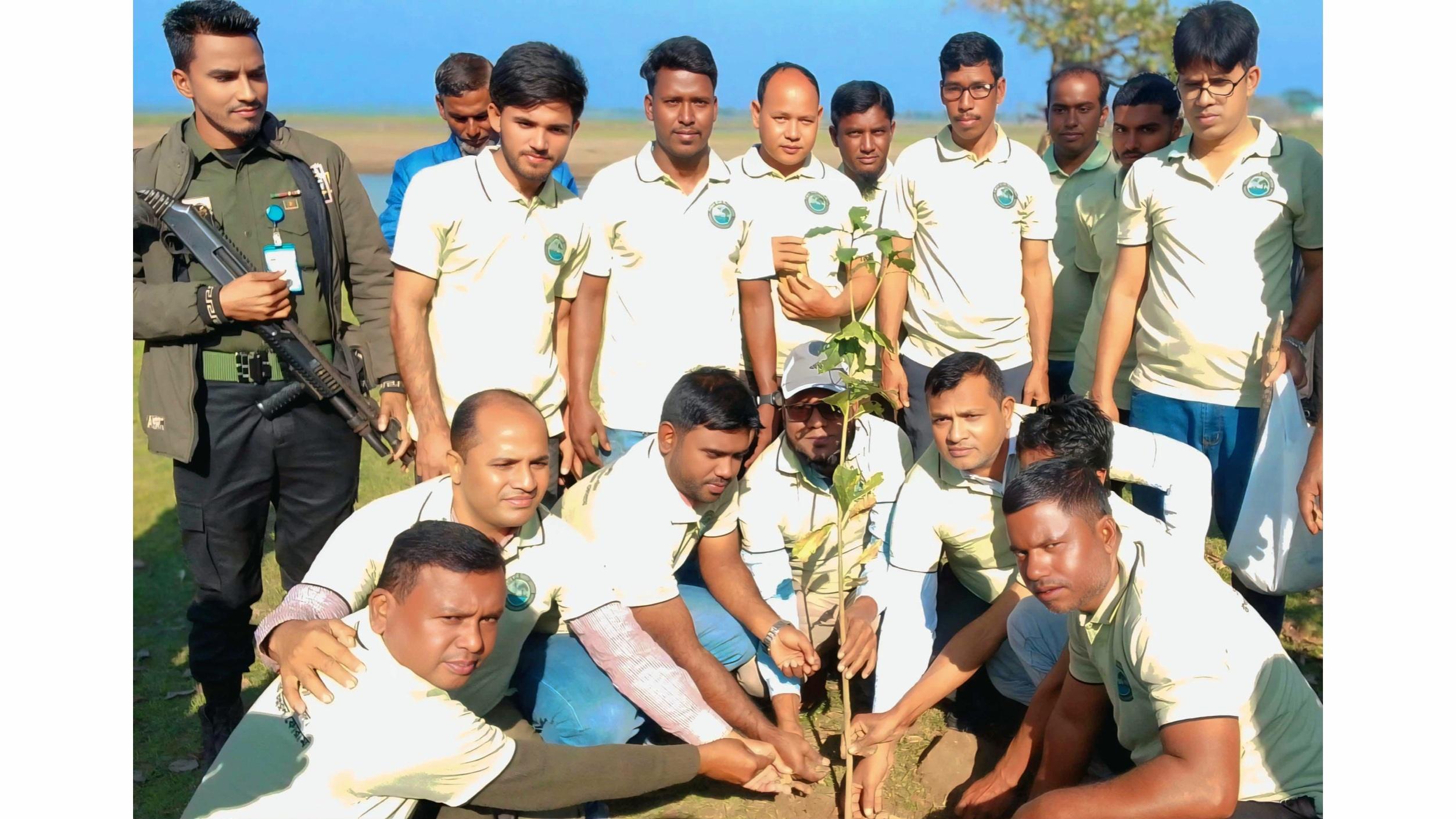টাঙ্গুয়ার হাওরে বৃক্ষ রোপণ