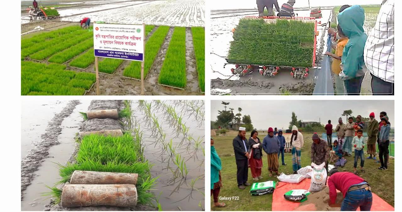 সুনামগঞ্জে প্রত্যন্ত অঞ্চলে ধান আবাদে কৃষি যান্ত্রিকিরণে ব্রি আঞ্চলিক কার্যালয়ের ব্যতিক্রমী উদ্যোগ