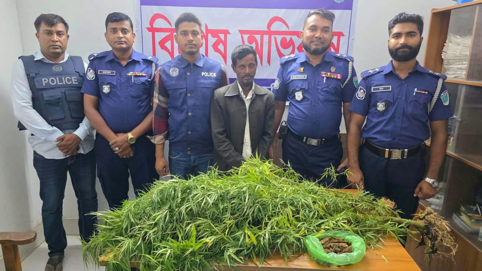 লাখাইয়ে পরিত্যক্ত ঘরের পাশ থেকে গাঁজা গাছসহ আটক ১
