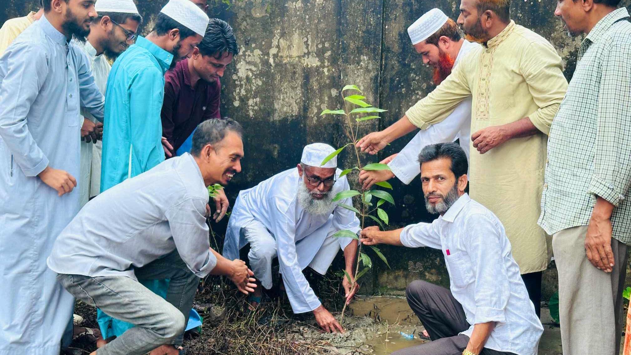 জলবায়ু পরিবর্তনে বানিয়াচংয়ে জামেয়া রেদওয়ানিয়া দাখিল মাদরাসায় বৃক্ষরোপণ কর্মসূচি